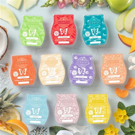 scentsy bar|scentsy catalogue.